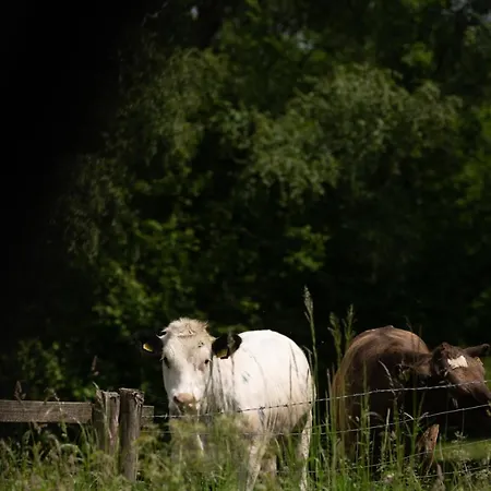 The Owl Nr Helmsley, North Yorkshire Zajazd Hawnby