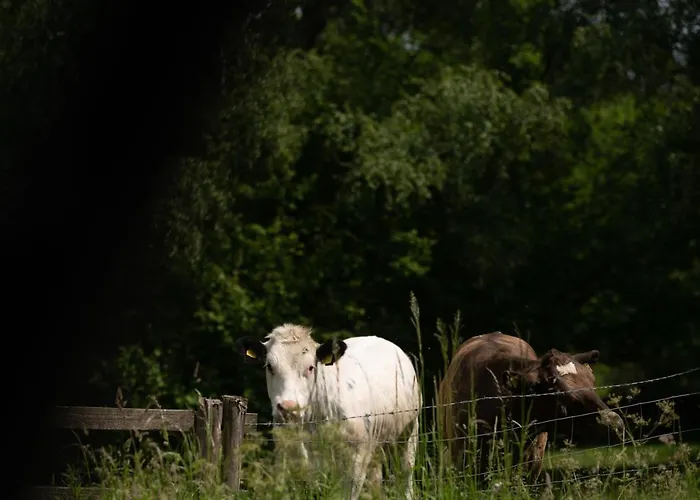 The Owl Nr Helmsley, North Yorkshire Inn Hawnby