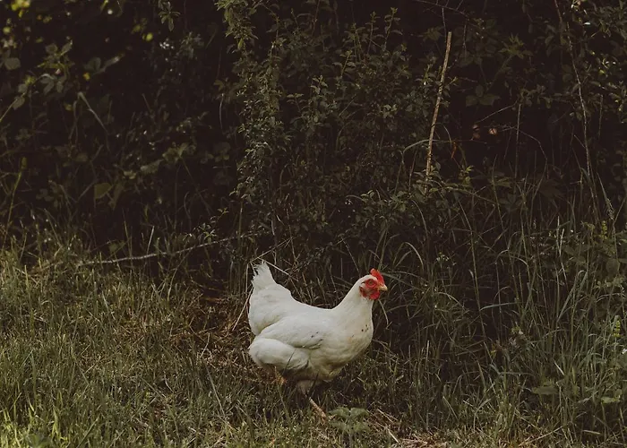 Inn The Owl Nr Helmsley, North Yorkshire 2*