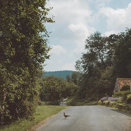 The Owl Nr Helmsley, North Yorkshire 2* 厚比
