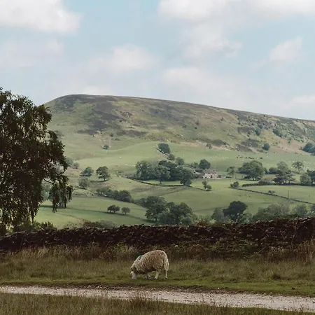 The Owl Nr Helmsley, North Yorkshire 厚比