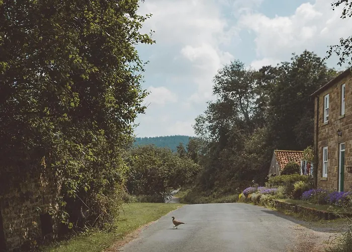 The Owl Nr Helmsley, North Yorkshire 2* Hawnby