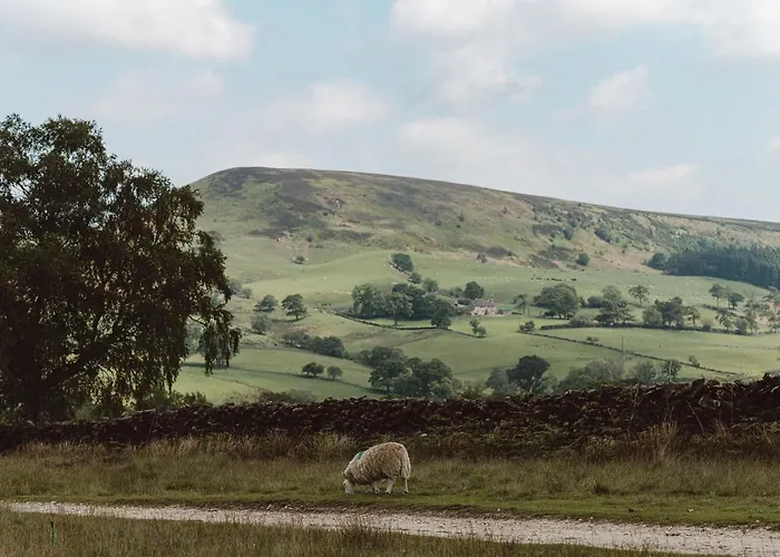 The Owl Nr Helmsley, North Yorkshire Hawnby